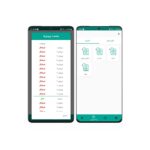 کنترلر رله هوشمند با وای فای و اینترنت مدل RAD-W206 - Image 3